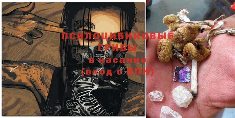 Галлюциногенные грибы MAGIC MUSHROOMS  как найти   МЕГА сайт  Гагарин 